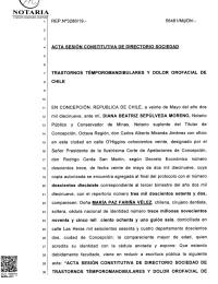Acta Constitutiva Directorio 2019