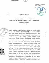 Acta Constitutiva Directorio 2022